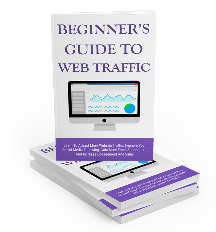 Beginner’s Guide to Web Traffic